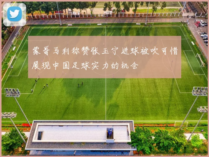 蒙哥马利称赞张玉宁进球被吹可惜展现中国足球实力的机会