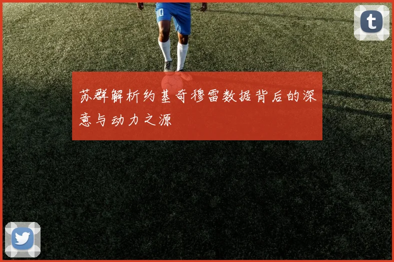 苏群解析约基奇穆雷数据背后的深意与动力之源